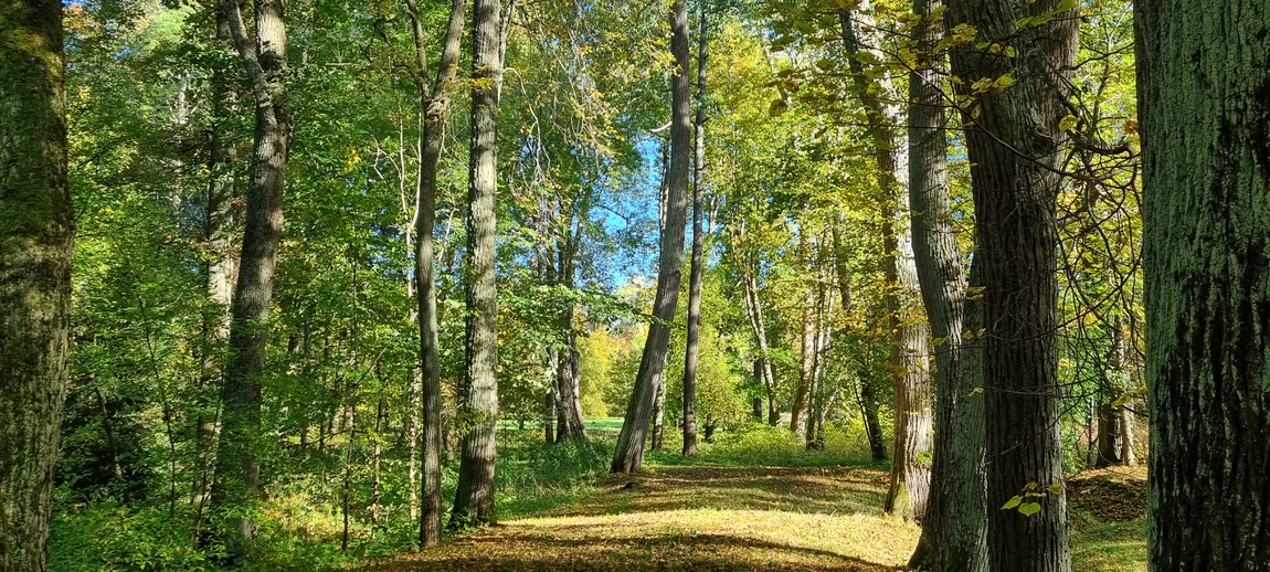 20260928_150611.jpg