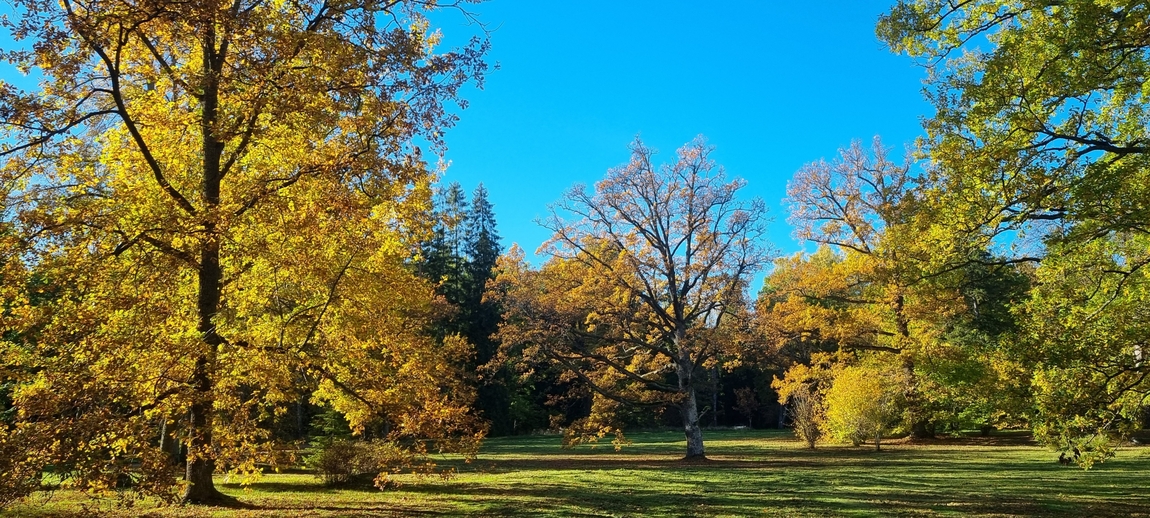 20260928_152912.jpg