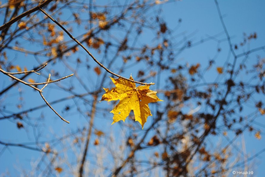 DSC_0028.1.jpg
