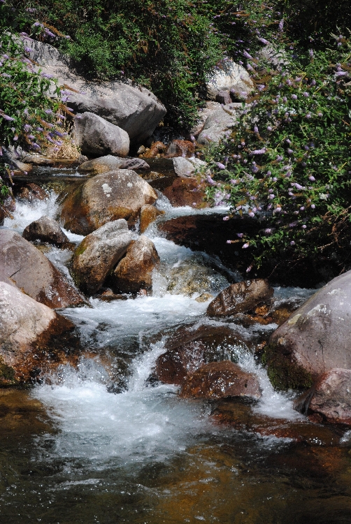 DSC_3147.JPG