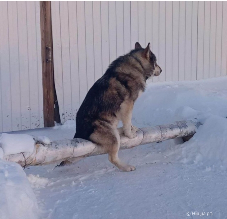 Screenshot_20241020_183010_Samsung Internet.jpg