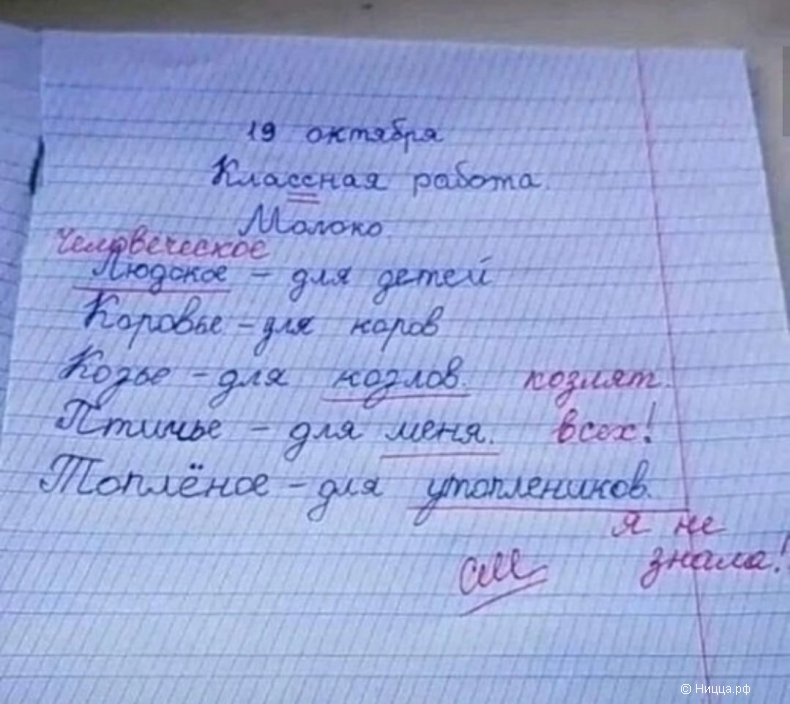 Screenshot_20250211_211205_Samsung Internet.jpg
