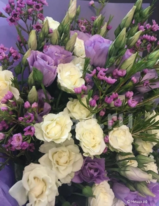 Screenshot_20250313_175730_Samsung Internet.jpg