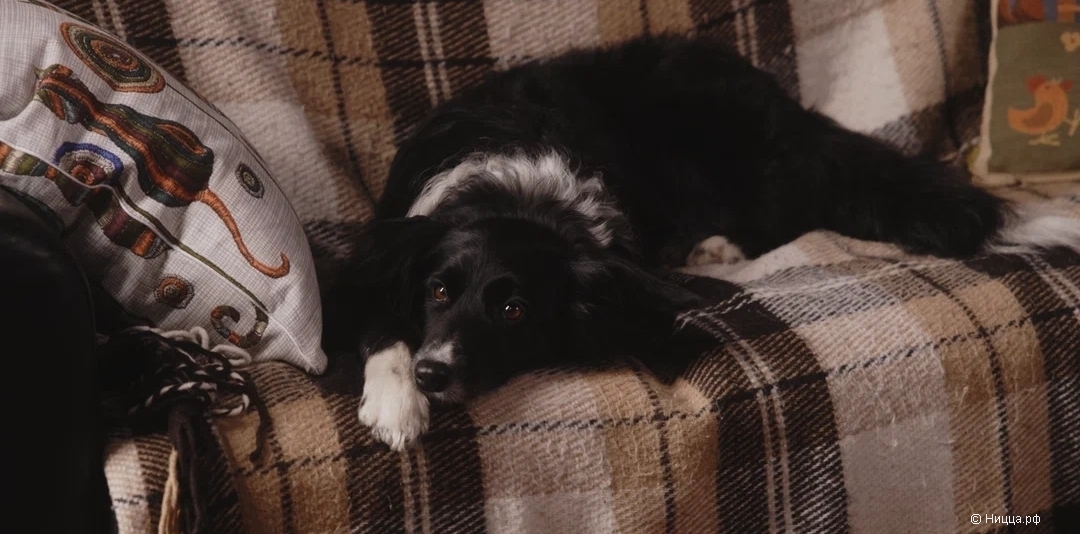 Screenshot_20251206_111941_Samsung Internet.jpg