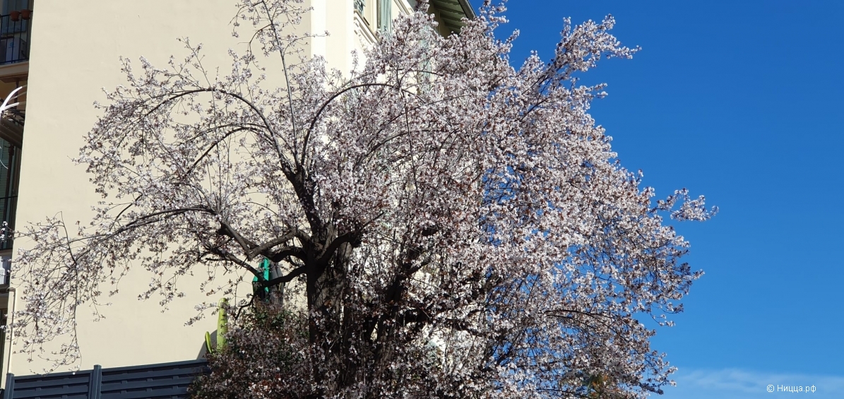 WhatsApp Image 2025-03-01 at 21.35.48.jpeg