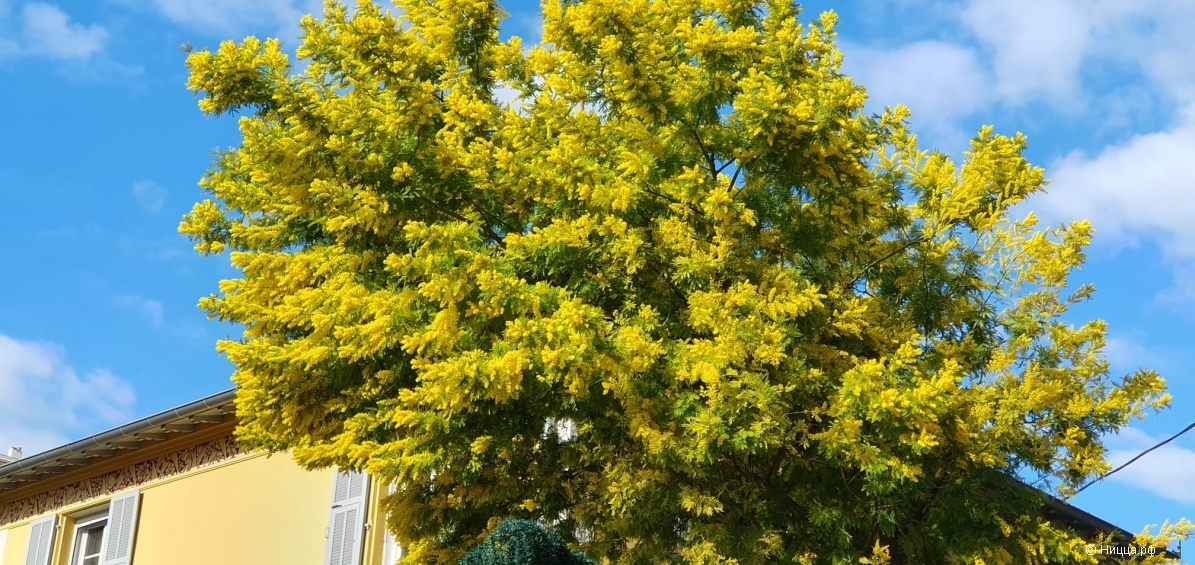 WhatsApp Image 2025-03-01 at 21.44.16.jpeg