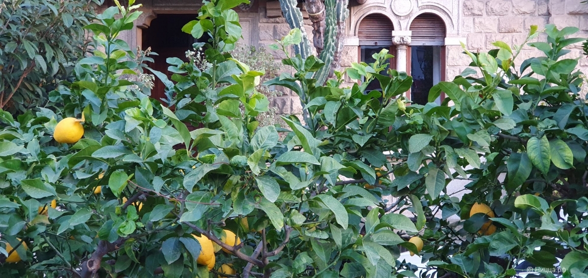 WhatsApp Image 2025-03-08 at 16.08.35.jpeg