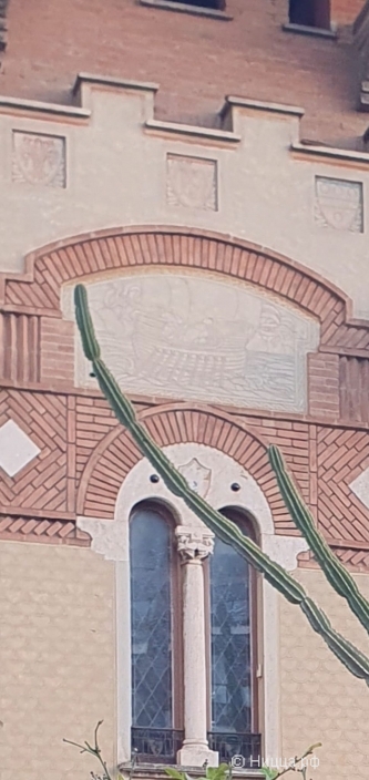 WhatsApp Image 2025-03-09 at 11.49.41.jpeg