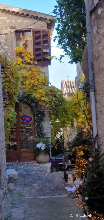 WhatsApp Image 2025-12-17 at 08.17.58.jpeg