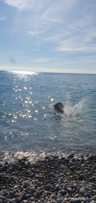 WhatsApp Image 2025-12-17 at 08.17.59 (1).jpeg