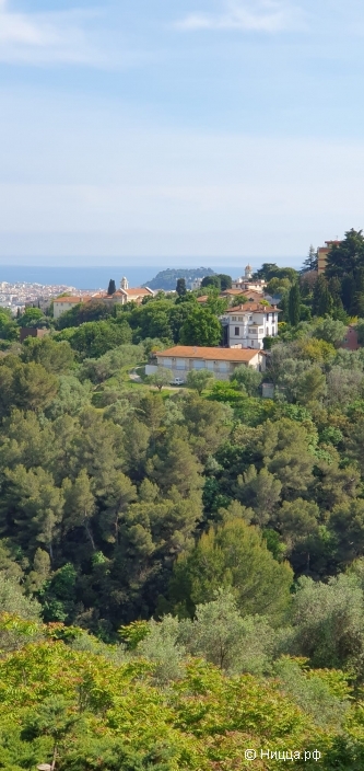 WhatsApp Image 2025-12-18 at 08.03.00.jpeg