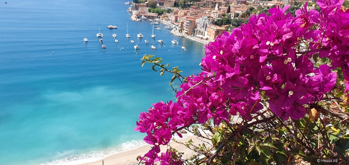 WhatsApp Image 2025-12-18 at 08.03.01.jpeg