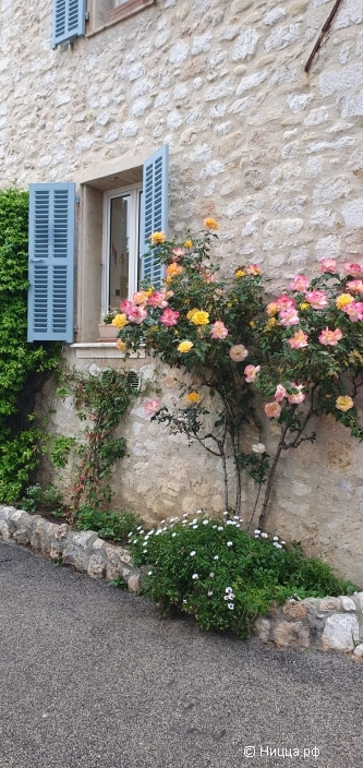 WhatsApp Image 2025-12-18 at 08.03.01 (1).jpeg