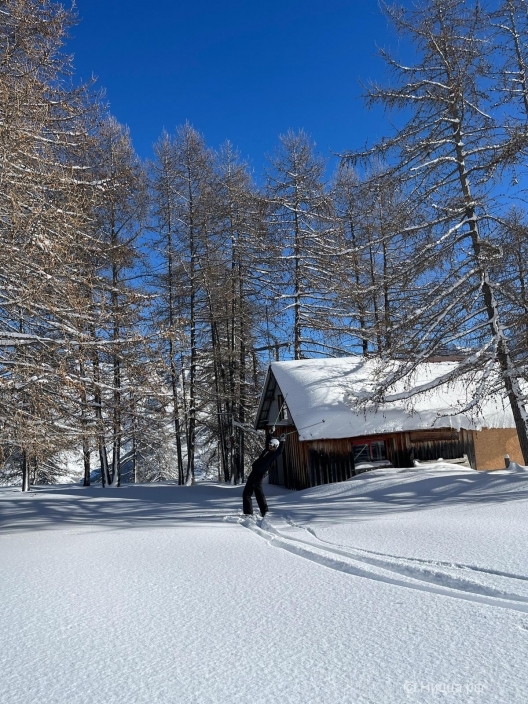 WhatsApp Image 2026-01-29 at 21.53.49.jpeg