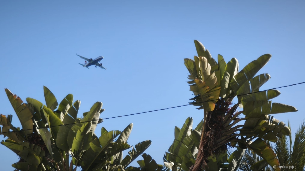 WhatsApp Image 2026-02-12 at 09.08.30.jpeg