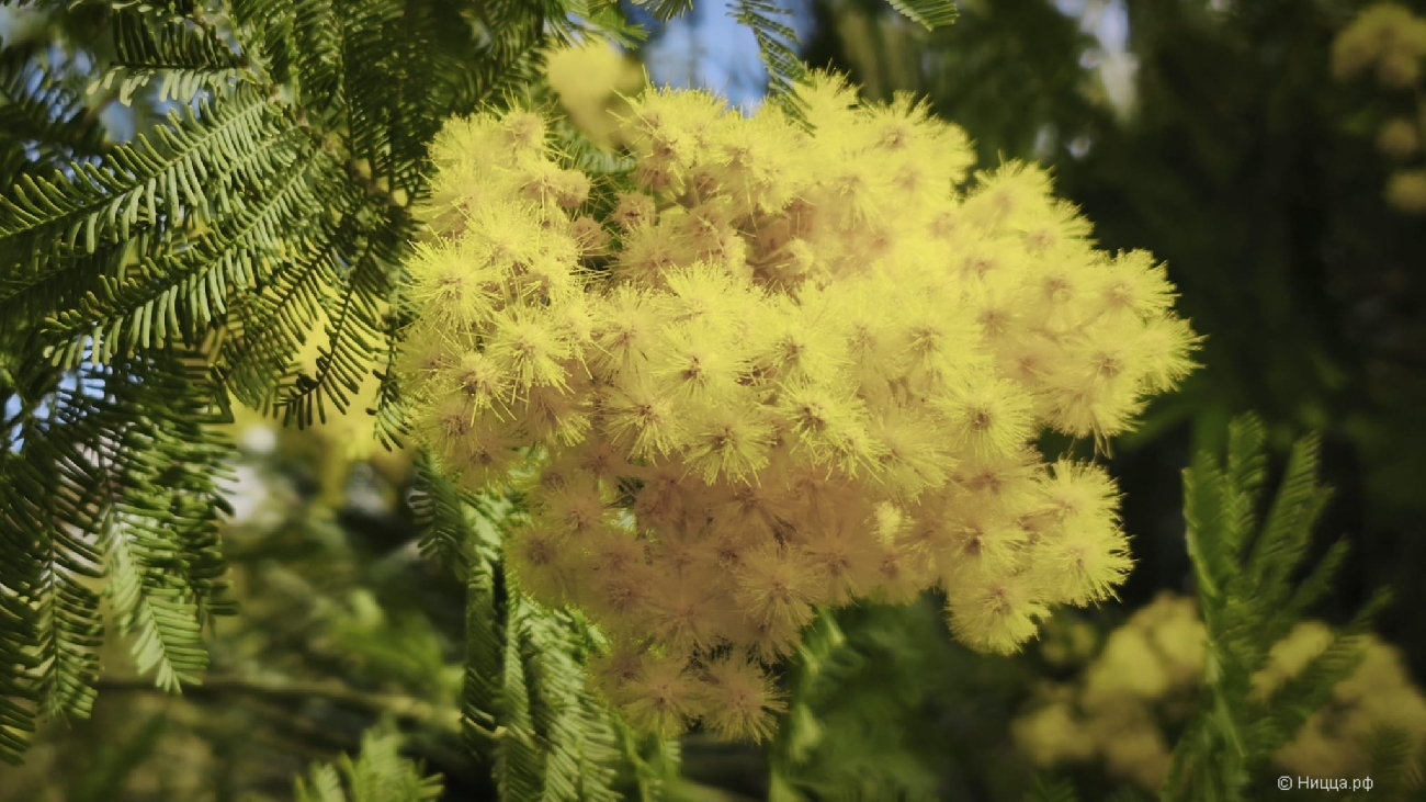 WhatsApp Image 2026-03-08 at 07.51.46.jpeg