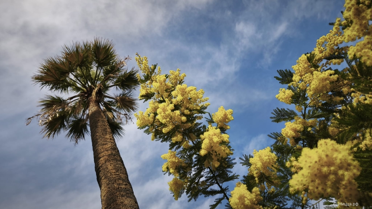 WhatsApp Image 2026-03-08 at 07.51.47.jpeg