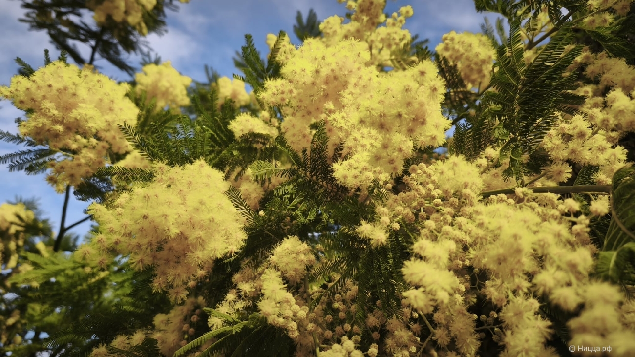 WhatsApp Image 2026-03-08 at 07.51.47 (1).jpeg