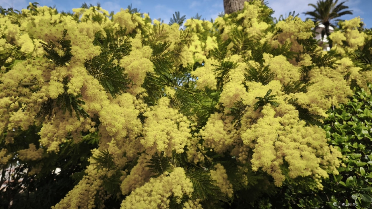 WhatsApp Image 2026-03-08 at 07.51.48.jpeg