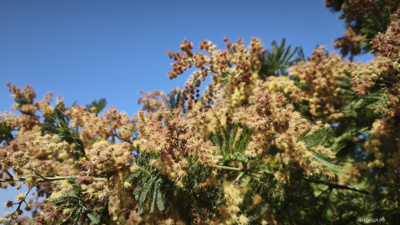 WhatsApp Image 2026-03-08 at 08.33.55 (1).jpeg