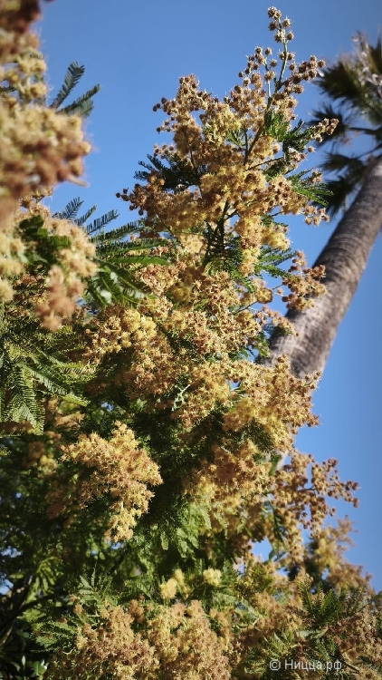 WhatsApp Image 2026-03-08 at 08.33.55.jpeg