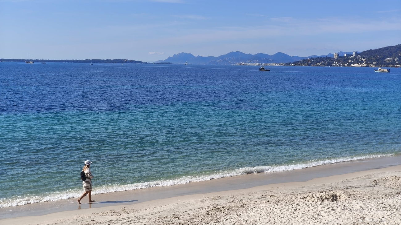 WhatsApp Image 2026-03-13 at 16.40.35.jpeg