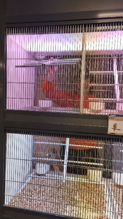 WhatsApp Image 2026-03-14 at 07.33.25 (1).jpeg