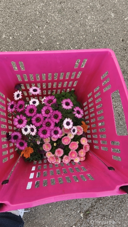 WhatsApp Image 2026-03-14 at 07.33.25.jpeg