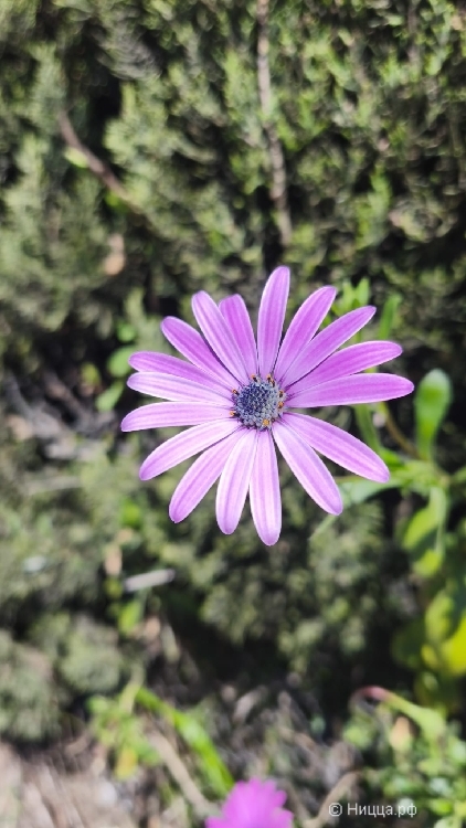 WhatsApp Image 2026-04-05 at 08.06.00.jpeg