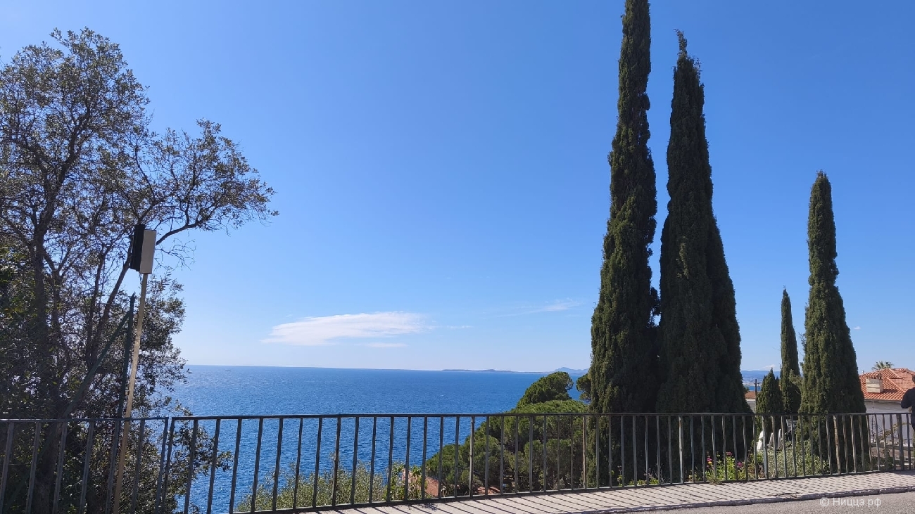 WhatsApp Image 2026-04-05 at 08.06.01 (1).jpeg