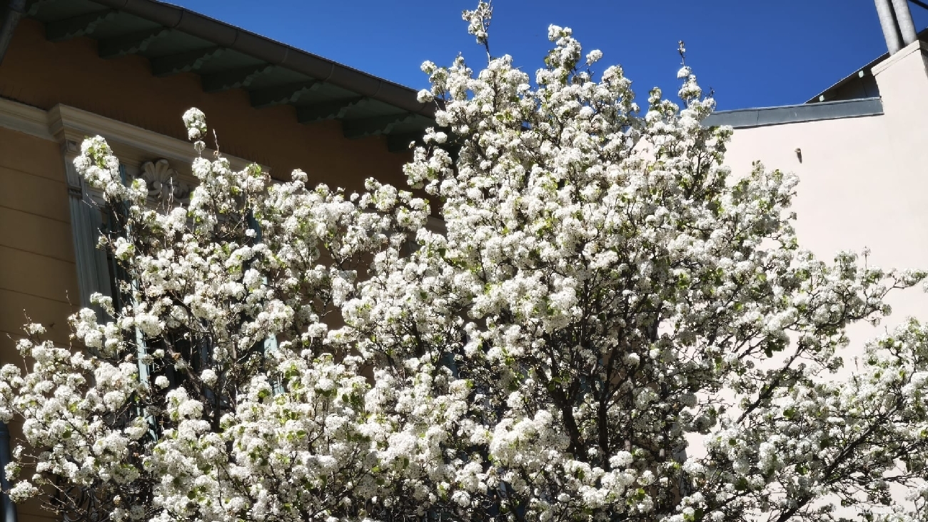 WhatsApp Image 2026-04-05 at 08.09.17.jpeg