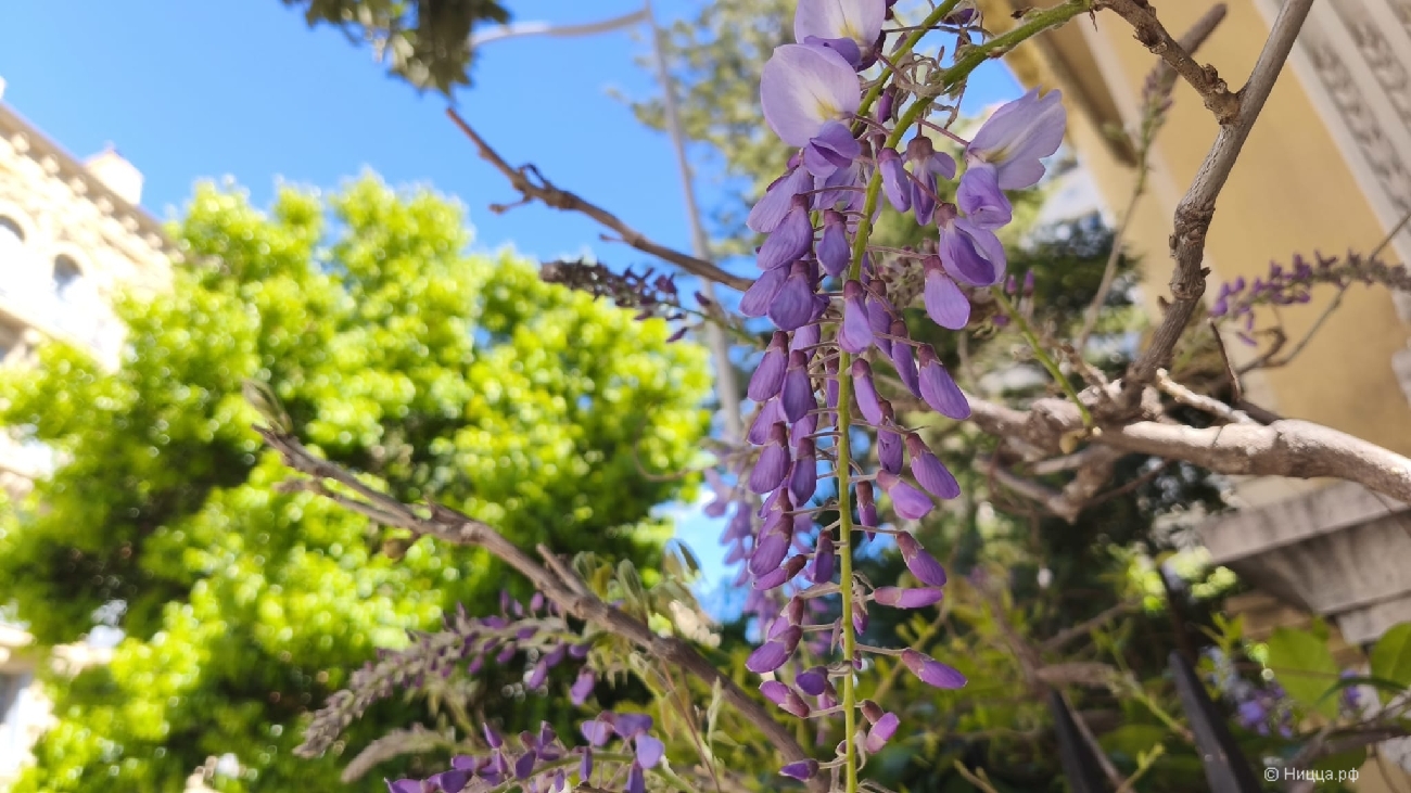 WhatsApp Image 2026-04-05 at 08.09.18.jpeg