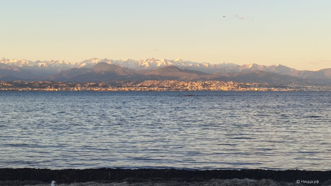 WhatsApp Image 2026-04-05 at 08.09.18 (2).jpeg