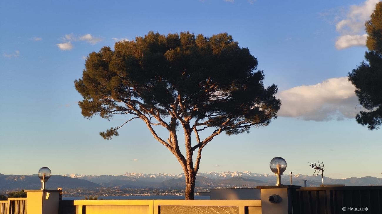 WhatsApp Image 2026-04-05 at 08.09.18 (5).jpeg